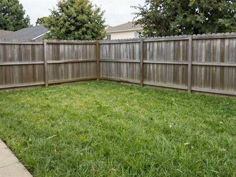 The same back yard mown flat and even, cut cleanly along the fence.