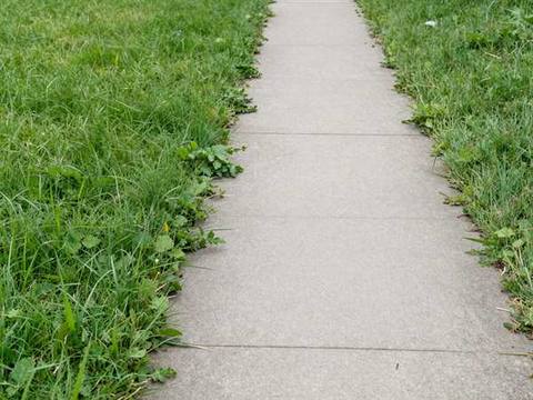 A concrete front walkway narrowed on both sides by long grass and weeds growing over the slabs.
