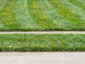 A front lawn cut and cleared after a seasonal cleanup, mower stripes running up to a swept walkway.